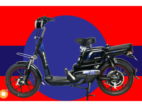 M6  bán hết