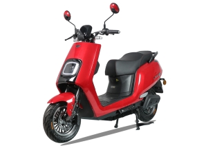 XE ĐIỆN  EVGO D
